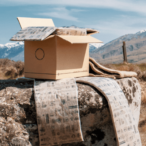 How We Stay Sustainable - The Meat Store