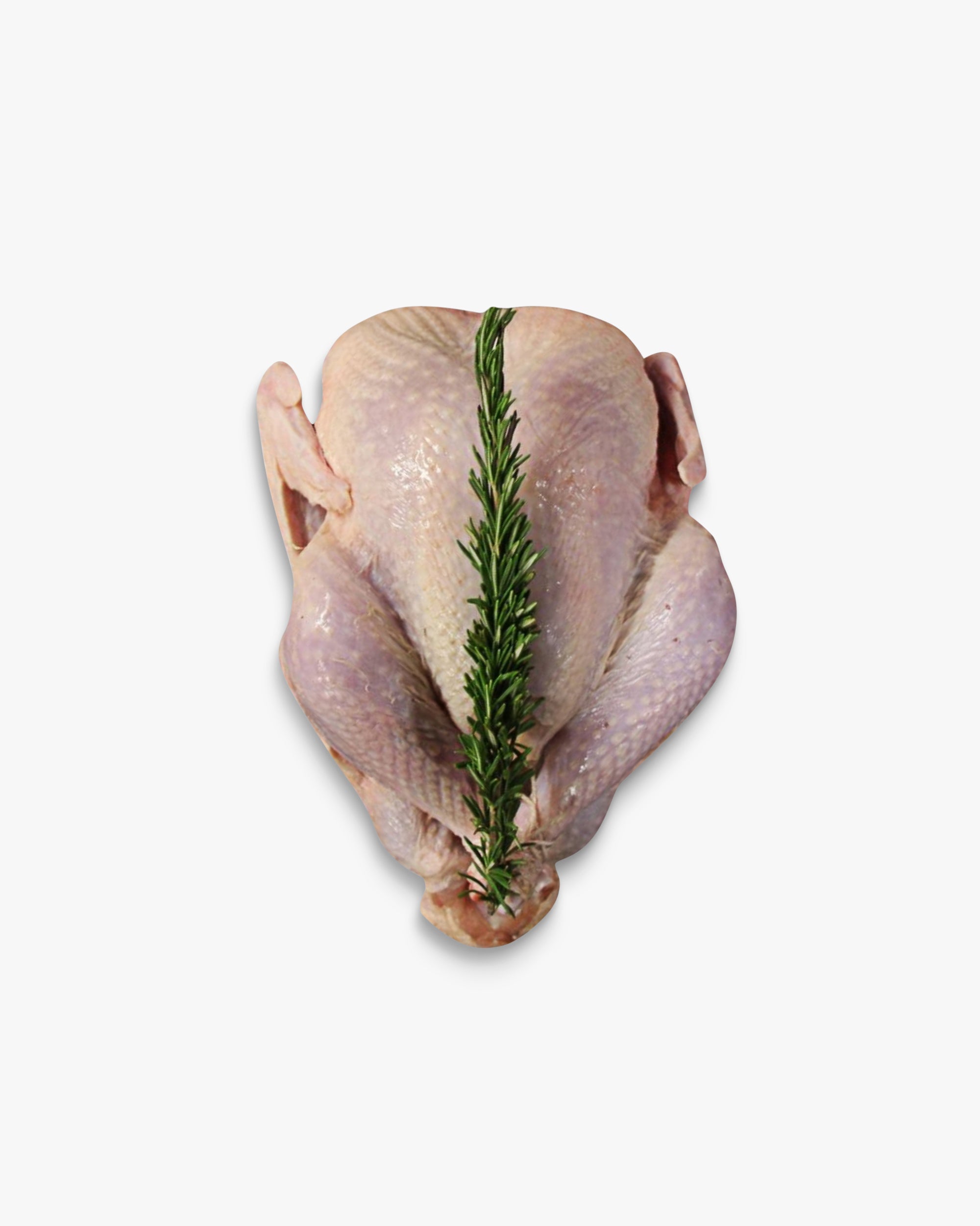 Free Range Whole Turkey