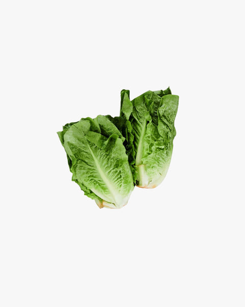 Fresh Baby Cos Lettuce Twin Pack