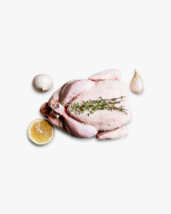 Whole Free Range Chicken